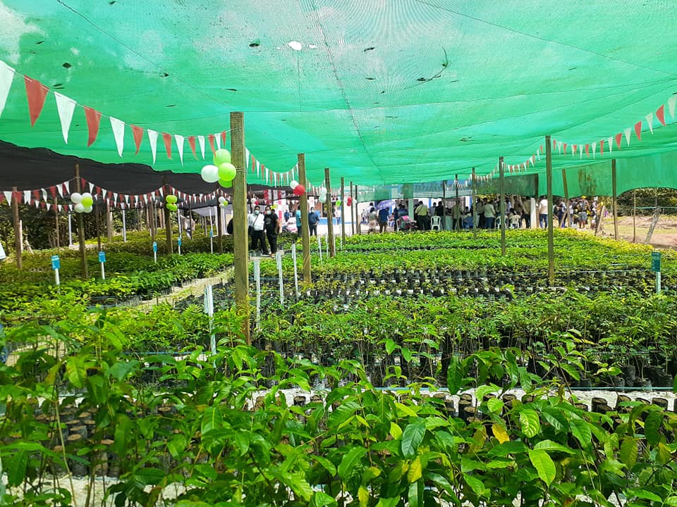 Agropecuaria