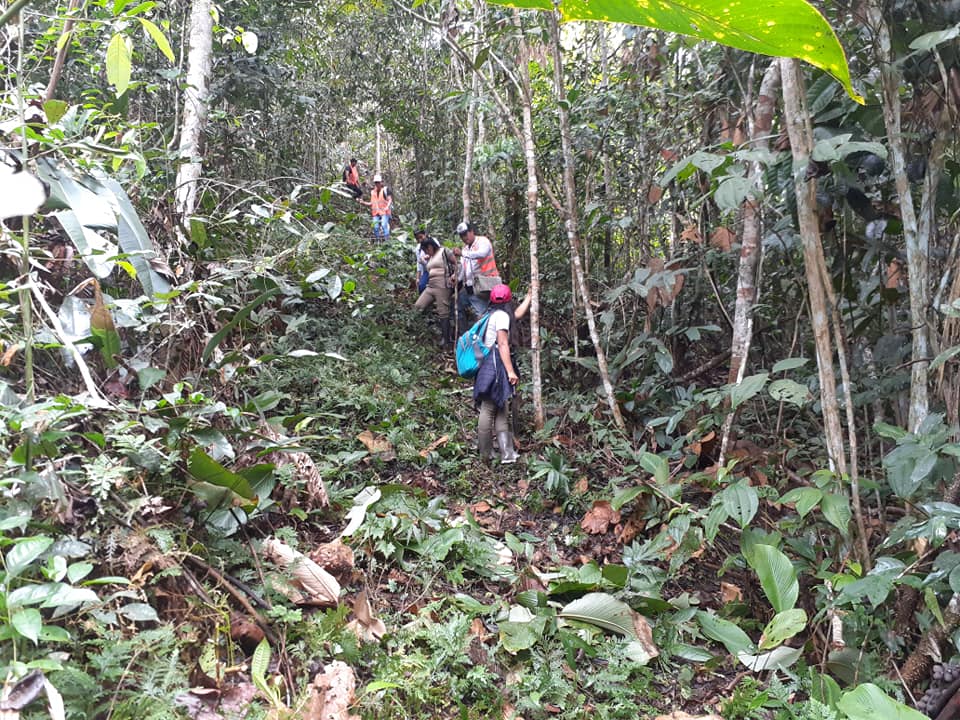 Agropecuaria